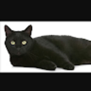 Meet your Posher, Logan